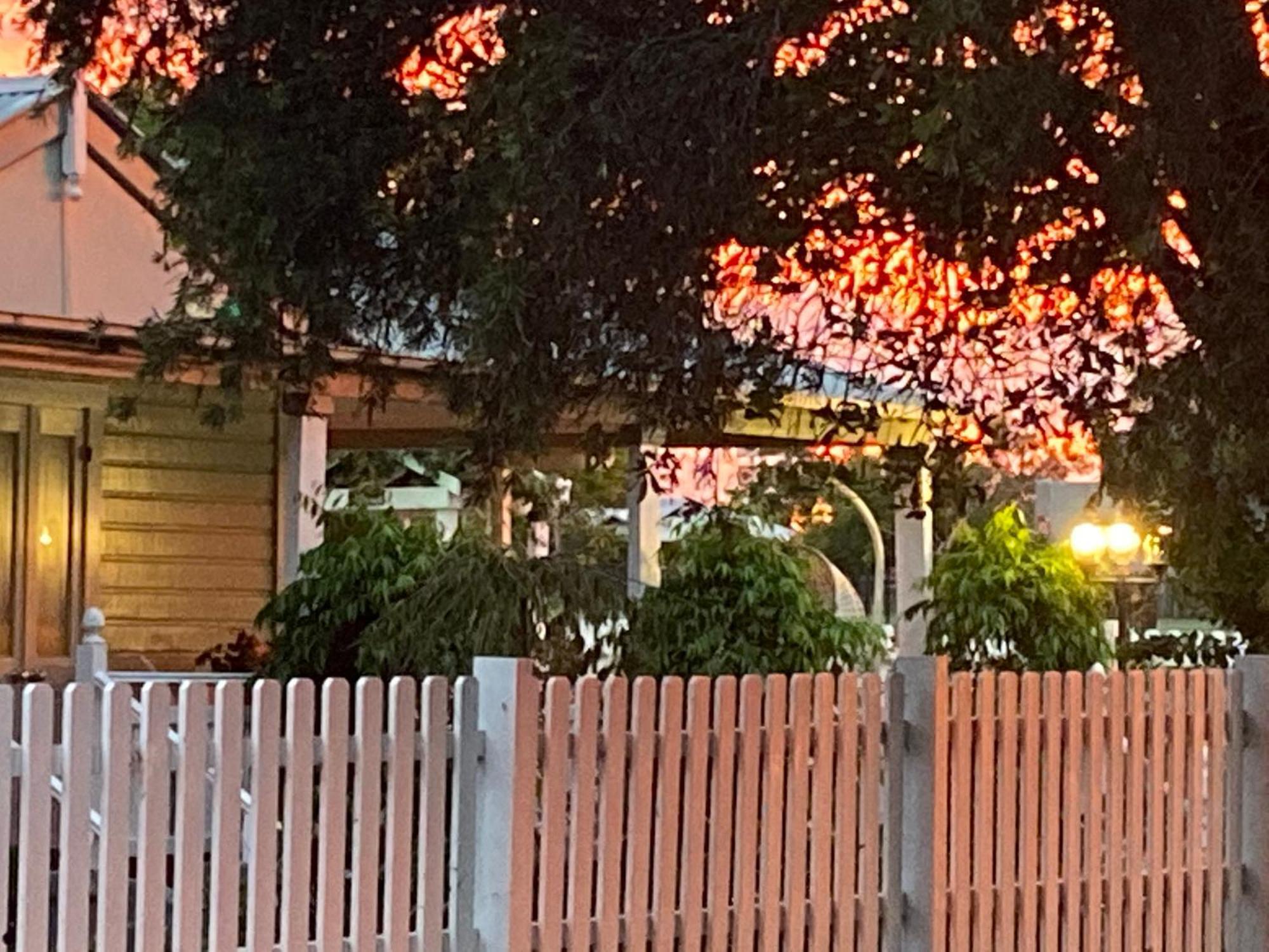 Birches B&B Taree Exteriör bild